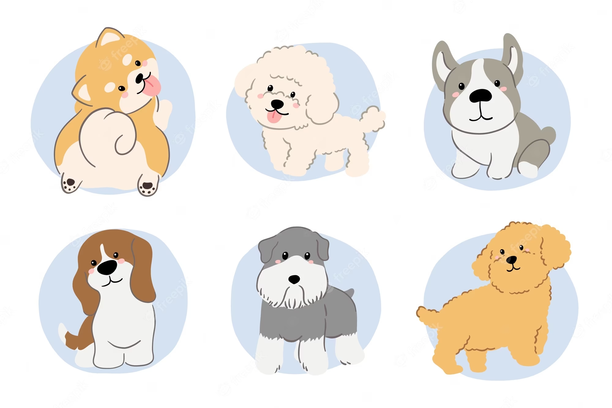 What kind of pet are you drawn to?